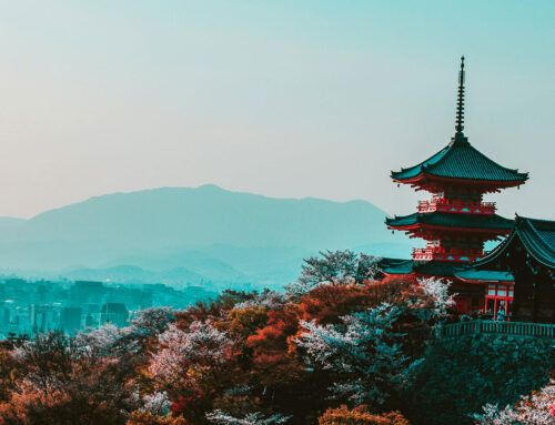 Why You Should Visit Japan